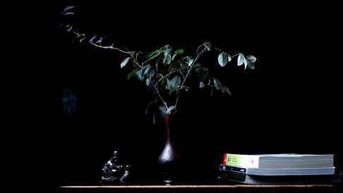 小叶紫檀锤目纹·花器直径6.2cm高15cm重171.1g