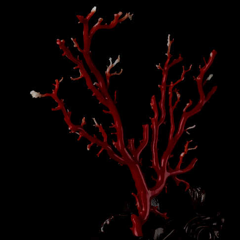 阿卡珊瑚树枝摆件--红珊瑚-阿卡-B101519C08003