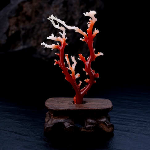 阿卡正红珊瑚原枝摆件--红珊瑚-阿卡-B106617G11026