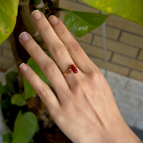 阿卡牛血红珊瑚戒指--红珊瑚-阿卡-B107720B19003