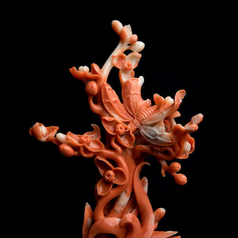 MOMO橘色珊瑚兰花摆件--红珊瑚-MOMO-B10F517F07001