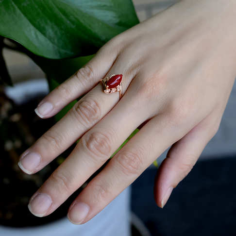 阿卡牛血红珊瑚戒指--红珊瑚-阿卡-B10L819I23012