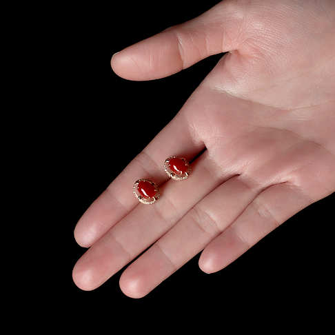 阿卡牛血红珊瑚耳钉--红珊瑚-阿卡-F10HG21A27005