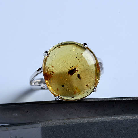 银镶精品甲虫珀戒指--琥珀-虫珀-011611170071