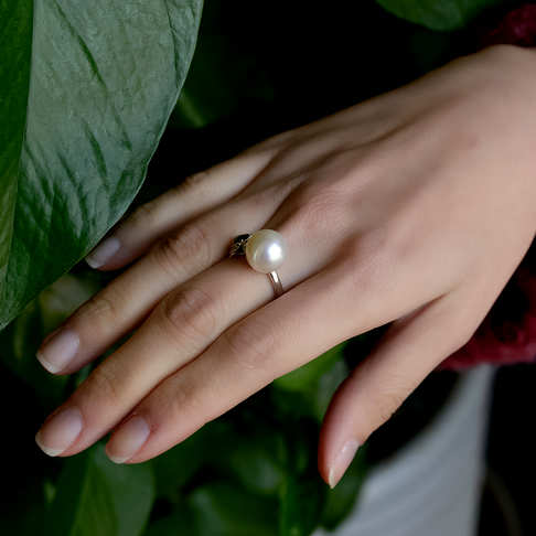 海水白色珍珠戒指--珍珠-海水珠-B38AT18L15005
