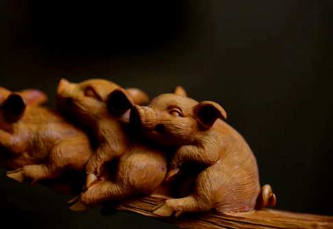 珍惜每一寸光阴不负时光收获成长黄杨木·三只小猪摆件明价2800